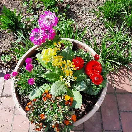 Zur Bruecke מלון 3*