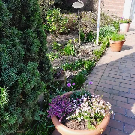 מלון Zur Bruecke