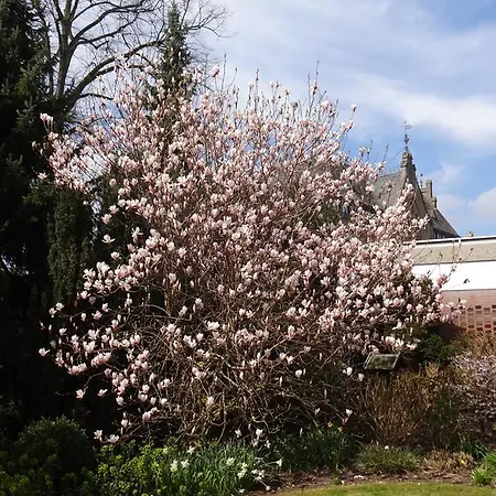 מלון Zur Bruecke