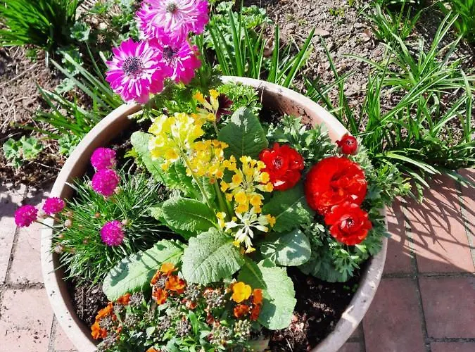 Zur Bruecke ホテル 3*