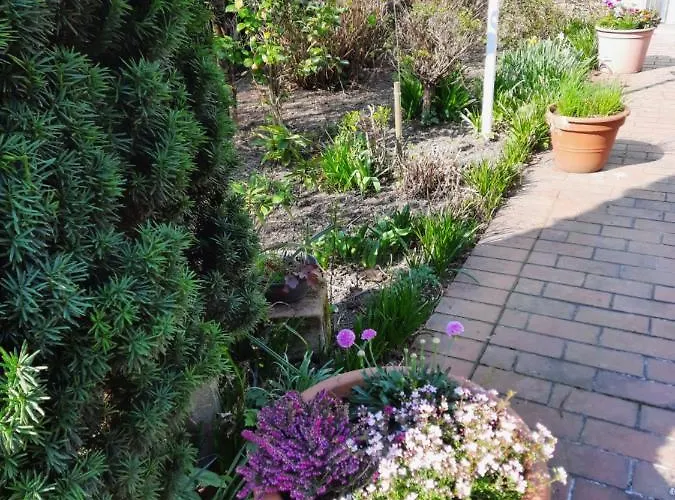 ホテル Zur Bruecke