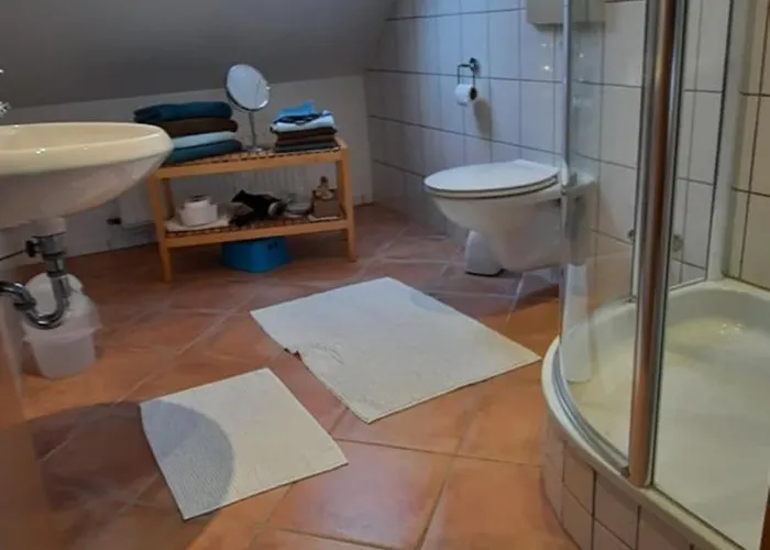 ホテル Zur Bruecke 3*